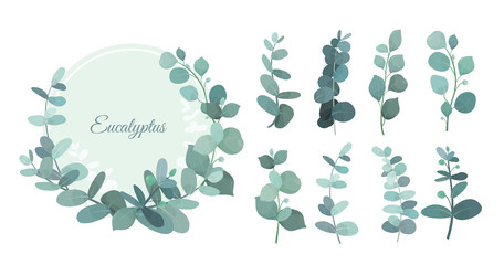 Vector illustration set of eucalyptus leafs and branches. Cute herbs for wedding greenery, decorative elements for invintations and greeting cards. Blue eucalyptus wreath, leaves and stems in flat © Natalia