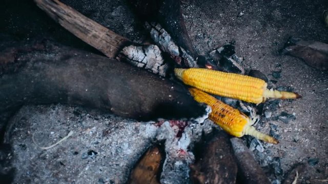 Slow motion clips of sweet corn roasting on the fire