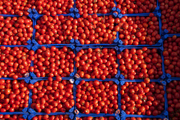 Tomatoes in the basket from top view.