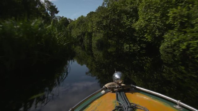 Fast boat cruising over river through the rainforest of borneo