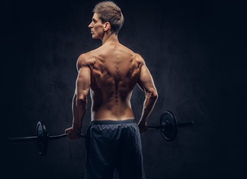 Back view of shirtless man with stylish hair and muscular ectomorph doing the exercises with the barbell.