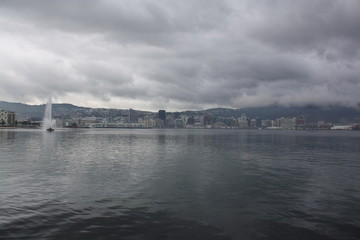 Fototapeta premium panoramic view of the city