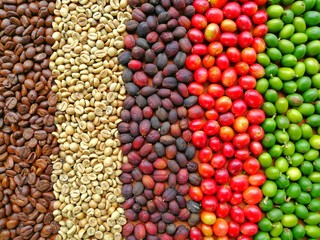 Circle of Coffee Beans Texture Background