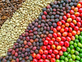 Fototapeta na wymiar Circle of Coffee Beans Texture Background