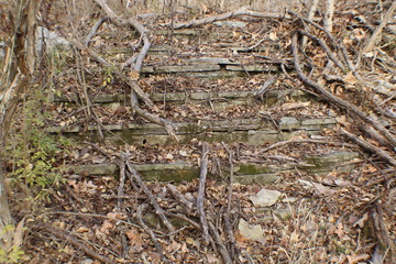 Stone Steps Abandoned