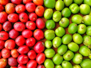 Red and Green Coffee Beans Texture Background, Yin Yang Concept