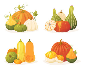 Colorful pumpkin set