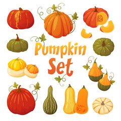Colorful pumpkin set