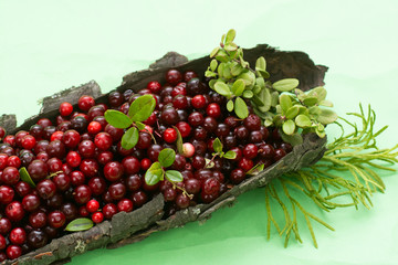Useful tasty bilberry berry