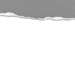pieces of torn paper texture background, copy space.