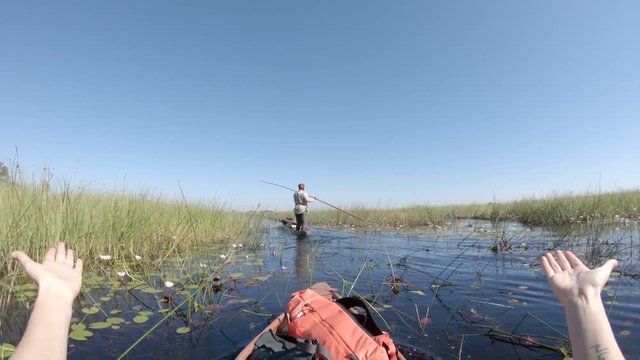 POV, fishing in swamp