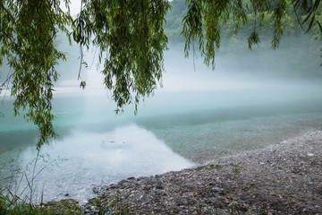 misty confluence of Soca and Tolminka river in Slovenia