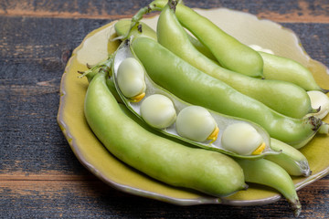 New harvest of healthy vegetables, green fresh raw big broad beans close up