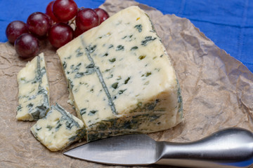 Blue cheese made from cow milk with Penicillinum mold, tasty soft cheese with specific odor