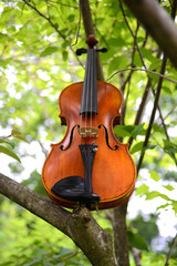 Fototapeta na wymiar 美しいバイオリンと景色
