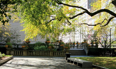 Beautiful tiny park in Downtown Chicago at the sunny October day