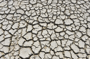 The parched soil