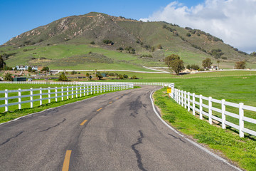 White Picket Fencing Lining a Winding Road in Central Coast, California