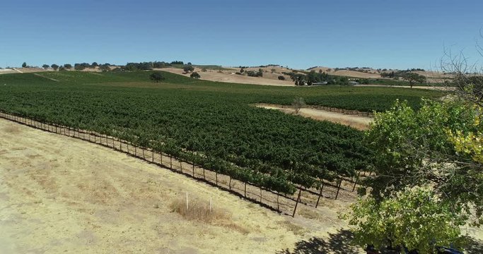 4K Vineyard flyover in Paso Robles, CA