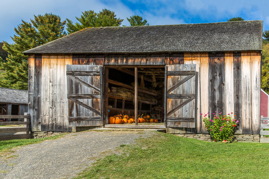 A Barn in Autumn Full of Orange Pumpkins and Gourds