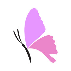 Colored abstract beautiful butterfly icon