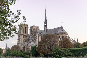 Fototapeta na wymiar Notre Dame Flying Buttresses