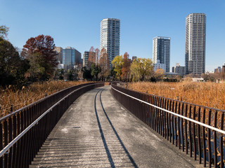 Naklejka premium 池とビル