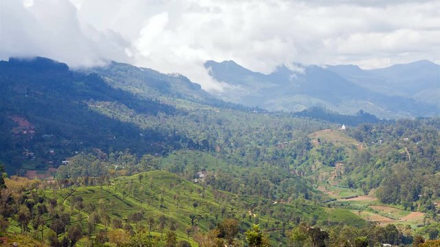 mountain tea plantations landscape Haputale, Sri Lanka timelapse