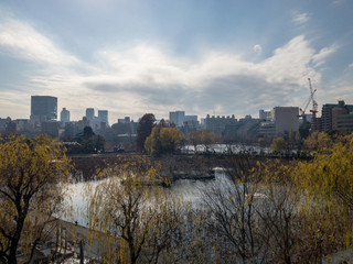Fototapeta premium 池越しに見える街並み