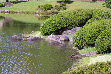 六義園の風景