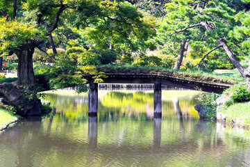 Fototapeta premium 六義園の風景