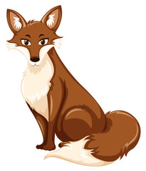 A brown fox on white background