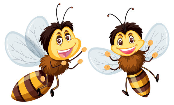 Happy bees on white background