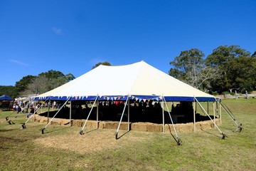Festival catering tent in summer 