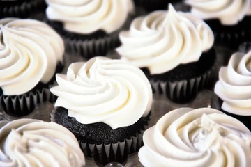Chocolate Cupcakes White Frosting