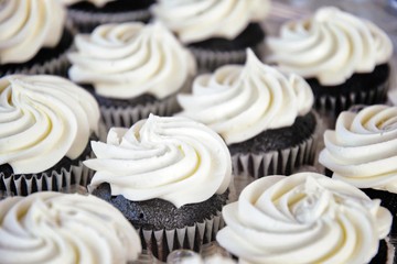 Chocolate Cupcake White Frosting