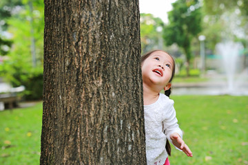 Little Asian child girl hugging a tree with looking up at the park.
