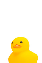 アヒルのおもちゃ