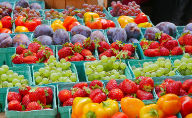 Rows of baskets filled with colorful fruits at the farmers market