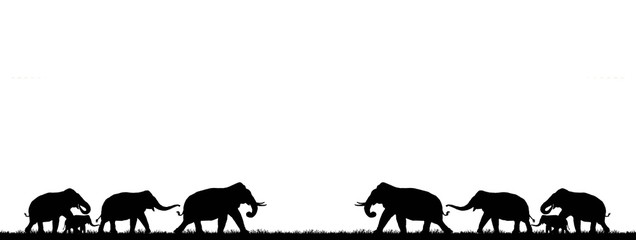 silhouette elephants in the landscape on  white background. 