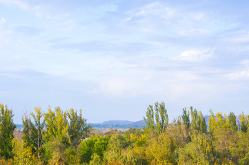 Fototapeta premium Urban Autumn landscape with trees in sunlight