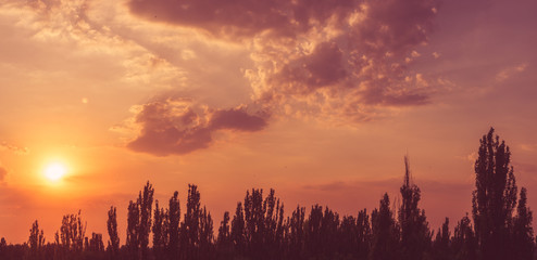 Landscape with dramatic light - beautiful golden sunset with saturated sky and clouds.