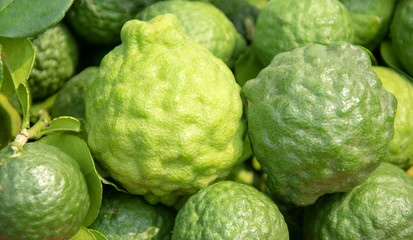 Closeup bergamot texture background