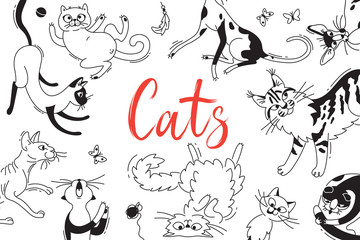Card with playing cats of different breeds. Cat in the style doodle cartoon. Vector background