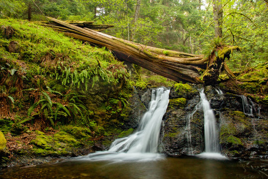 Rustic Falls On Orcas Island In The San Juan Islands, Washington