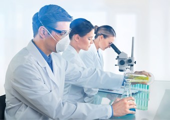 Fototapeta premium Successful medical doctors using a laptop