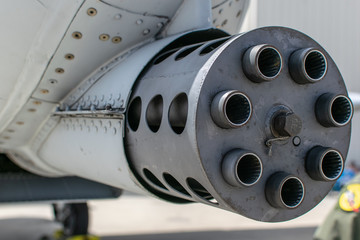 Warthog Cannon