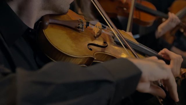 Playing Violin in Close up