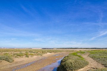 Fototapeta premium Baie d'Authie