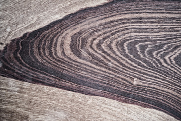 Fototapeta na wymiar Patterns and textures of wood, natural brown tones.